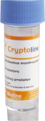 Cryptoline® - 500 Adult Beetles per tube - Biological Control